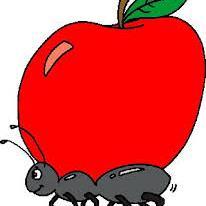 ANTT100B's profile picture. A marketing and advertising company for Universities all across Ontario! the little company who helps the big guys!