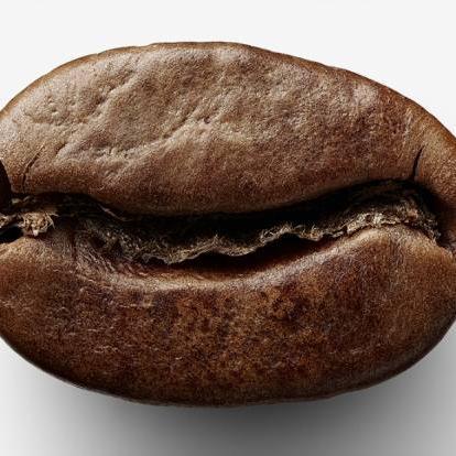 A passion for connecting with the finest coffee farmers on the planet.
