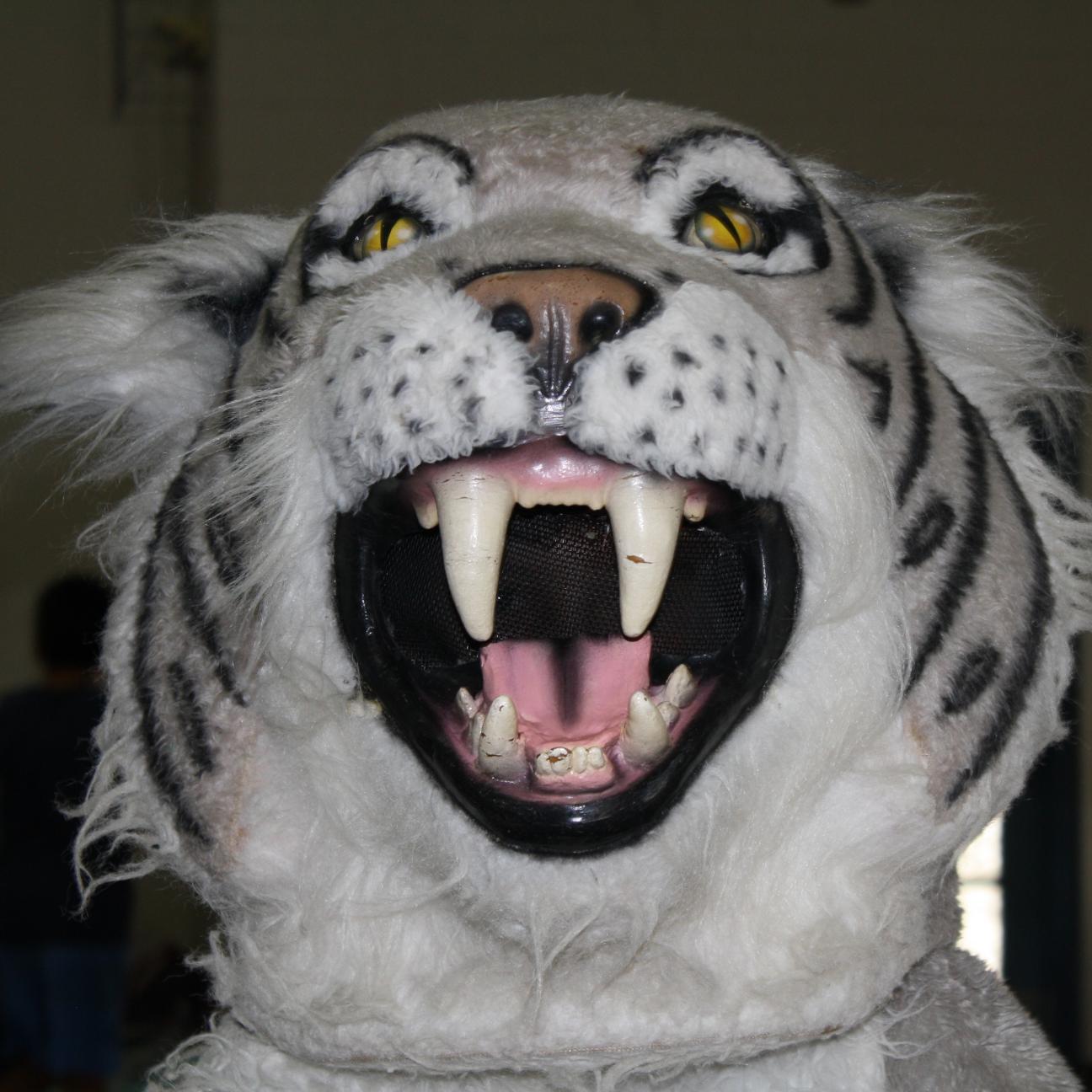 sms_yearboook's profile picture. 