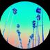 nightriderselections (@alvaro11) Twitter profile photo