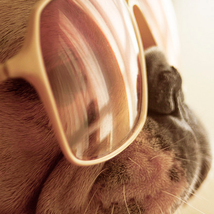 yungQCsavage's profile picture. calling out all fuk boys and sloots