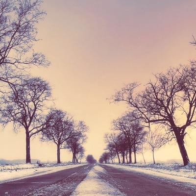 dangksy's profile picture. 