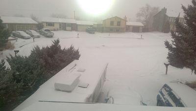 LevingsLinda's profile picture. 