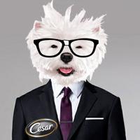 Stockdog101 (@stockdog101) 's Twitter Profile Photo Stockdog101 (@stockdog101) 's Twitter Profile Photo
