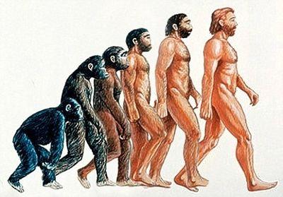 JustAHominid's profile picture. We are all members of the same species of the animal kingdom of the planet earth.