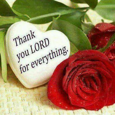 DebalkeY's profile picture. 