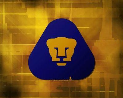 Joven universitario, participativo y propositivo, no me conformo con ver los problemas, trato de corregirlos sin afectar a terceros; PRIISTA por convicción!!!!!