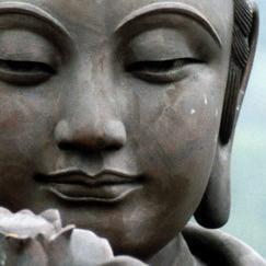 Global Citi'zen'