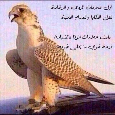 المرشدي يامرحبا بالي تابعوني وتابعتهم