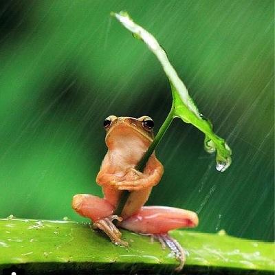 kmstekin's profile picture. 