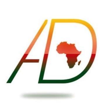 Cabinet spécialisé dans le conseil en investissement et management des projets  de la diaspora au Cameroun