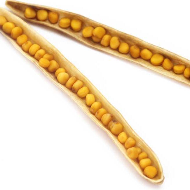 Sell  mustard seeds,
