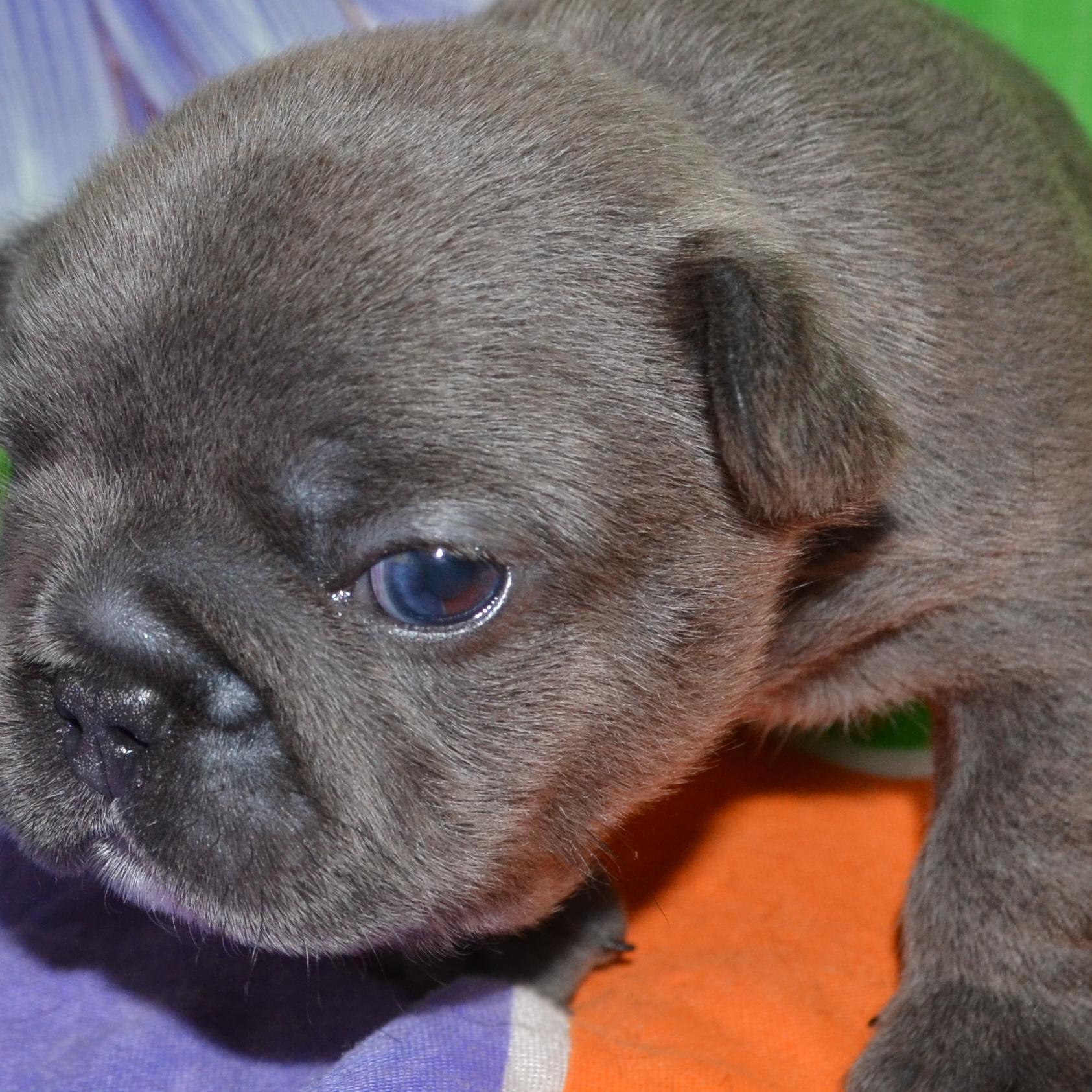 LipinaAlina's profile picture. 