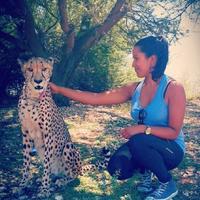 CC (@chandrec_) 's Twitter Profile