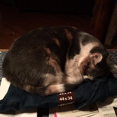 kathryn66's profile picture. 