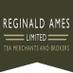 Reginald Ames (@reginaldames) Twitter profile photo