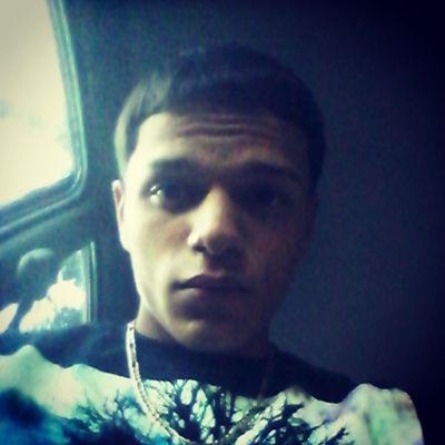 SC-walbert817
