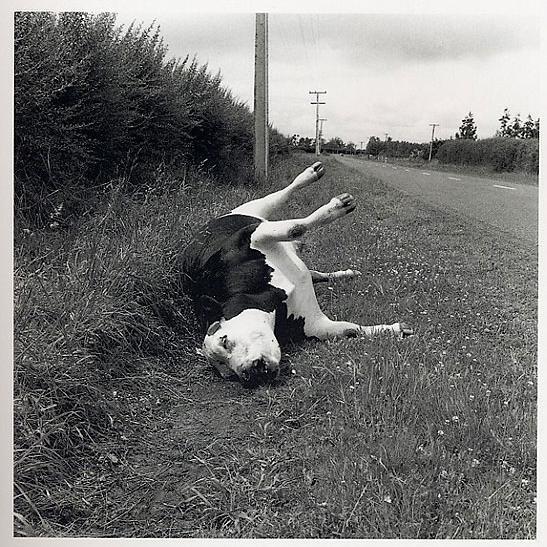 MusePABlog's profile picture. Eternal sunshine of the spotless mind!
Each pray'r accepted, and each wish resigned.