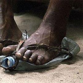 CARMELAMANCO's profile picture. Presidente dell'associazione Figli in Famiglia O.n.l.u.s. che opera al fianco di famiglie multiproblematiche.