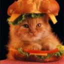 Brady Hunt - @burgercat05 - Twitter