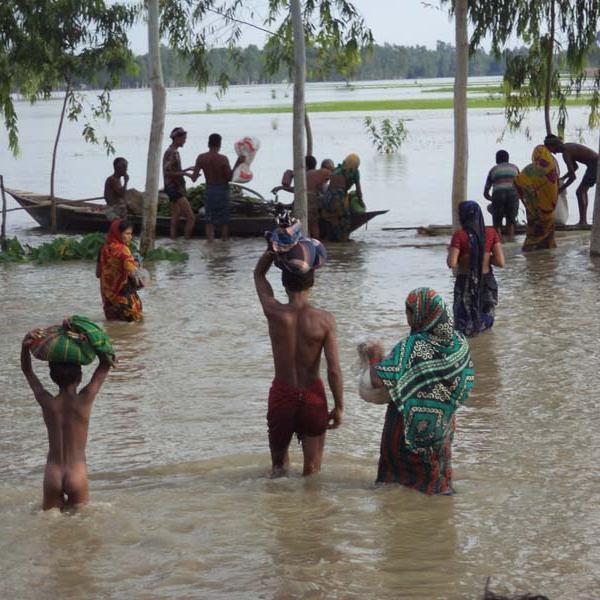 agamirhossen's profile picture. 