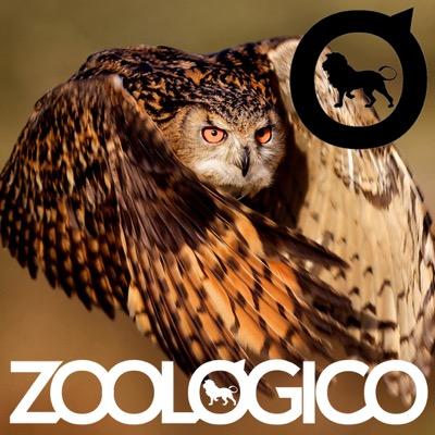 ZooTardon's profile picture. Jefe de RRPP de Zoológico Club & Underzoo || Pídeme listas al WhatsApp 616150720 || Vente GRATIS! || Listas ZOOLÓGICO || Listas UNDERZOO || @titotardon