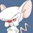 ThePaf11's profile image