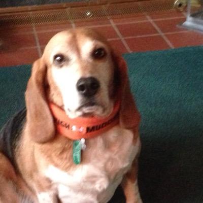 eastman_tim's profile picture. 