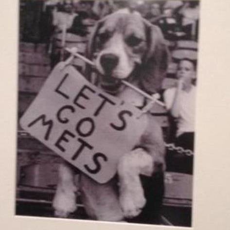 MetDogHomer's profile picture. 