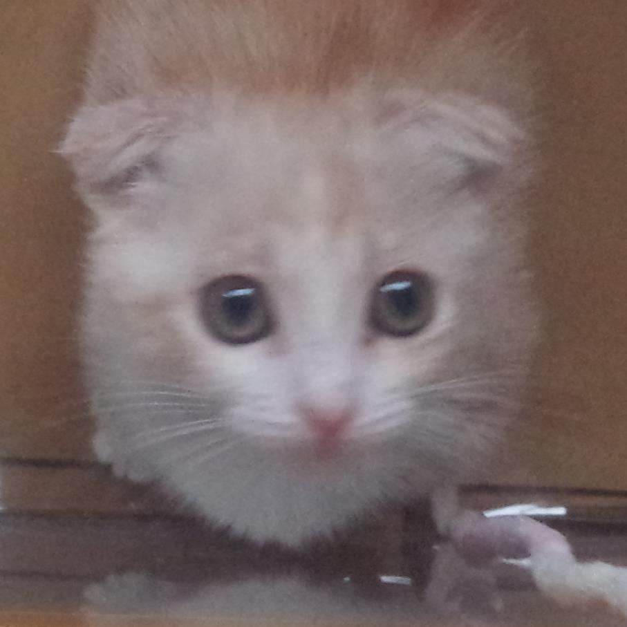 legasy555's profile picture. 