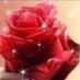 الخطابه أم سعود (@rz__4330) Twitter profile photo الخطابه أم سعود (@rz__4330) Twitter profile photo