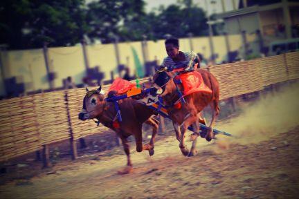 suka jalan-jalan#suka makan#suka poto-poto# mulai suka nulis gak jelas# suka pramuka⛺#setiap langkah adalah cerita