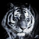 Marylou Hall - @misslou2011 - Twitter