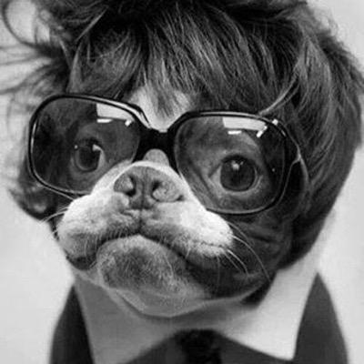 ExcitingTerry's profile picture. Hello.