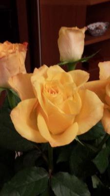 tatacri68's profile picture. 