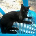 ANA TAMARA meza mena - @anatamapereira - Twitter