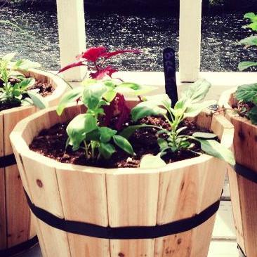 BostonARDevs's profile picture. 