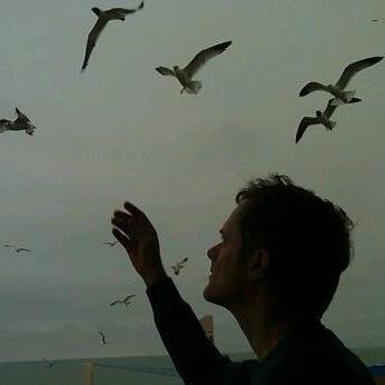 SongBoyFoster's profile picture. Makes songs, sings, strums, picks. Likes most people.