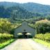 Amista Vineyards (@amistavineyards) Twitter profile photo Amista Vineyards (@amistavineyards) Twitter profile photo