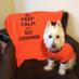 Kelly (@westie0901kelly) Twitter profile photo