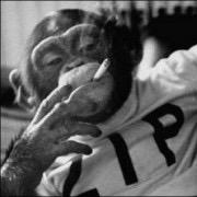 jtech3100's profile picture. 