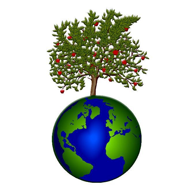 Bienaventurados los que lavan sus ropas, para tener derecho al árbol de la vida, y para entrar por las puertas en la ciudad. Apocalipsis 22:14