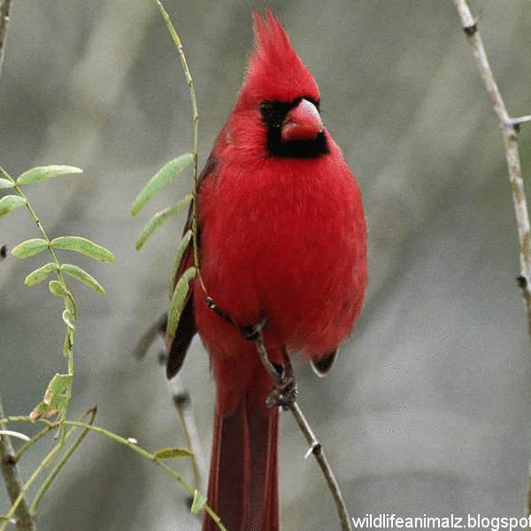 jannrainey's profile picture. 