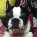 makoto - @sally_jack - Twitter