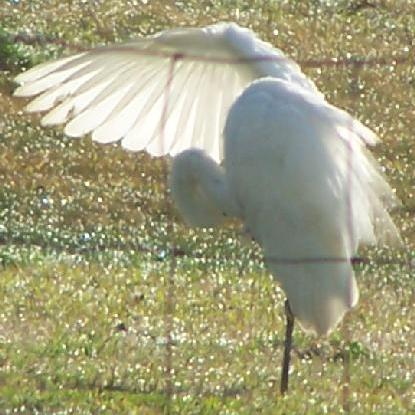 NLWebwallas's profile picture. Web & PC tech assistance; Gaming; World of Warcraft; WordPress; HTML; Website Design & Management; Technical Writing & Editing. Meher Baba. We like to bird too.