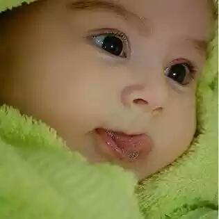 JAAT BOY