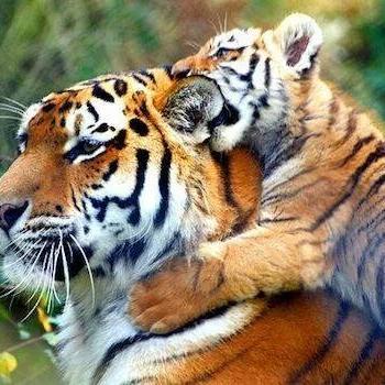 PENALCODE2's profile picture. 