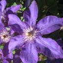 Lorena Chalkley - @PennyChalk - Twitter