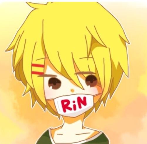 りんさんのプロフィール画像