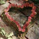 &شمعة حياتي& (@22_Maya_44) Twitter